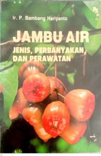 Image of Jambu Air : Jenis, Perbanyakan, Dan Perawatan