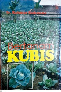 Bertanam Kubis