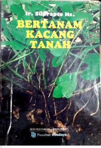 Bertanam Kacang Tanah