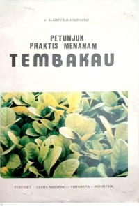 Petunjuk Praktis Menanam Tembakau