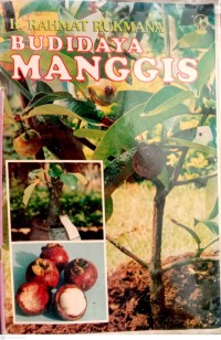 Budidaya Manggis
