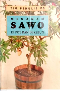 Menanam Sawo Di Pot Dan Di Kebun