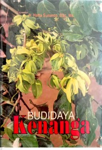 Budidaya Kenanga